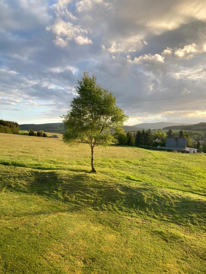 K Zastavce 557 Villa Kovářská Buitenkant foto