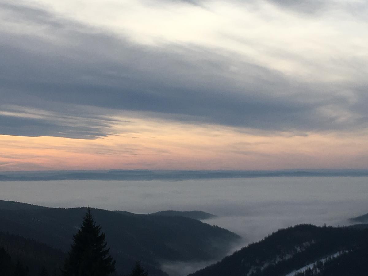 K Zastavce 557 Villa Kovářská Buitenkant foto